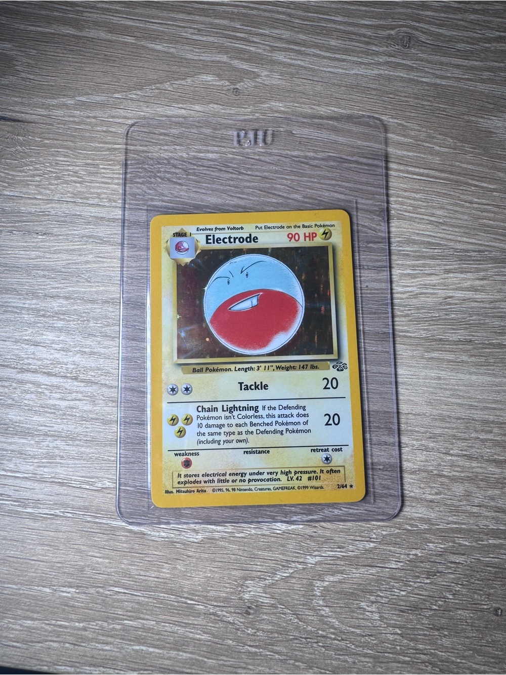 Electrode #2/Pokemon Jungle